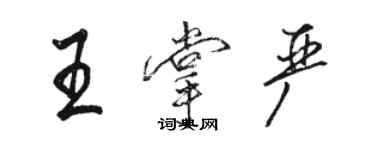 駱恆光王掌嚴行書個性簽名怎么寫