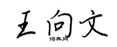 王正良王向文行書個性簽名怎么寫