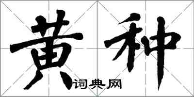 翁闓運黃種楷書怎么寫