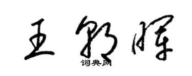 梁錦英王朝暉草書個性簽名怎么寫