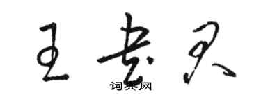 駱恆光王書君草書個性簽名怎么寫