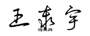 曾慶福王秦宇草書個性簽名怎么寫