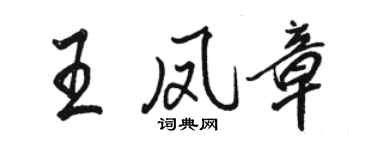 駱恆光王鳳章行書個性簽名怎么寫