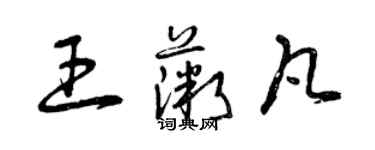 曾慶福王薇凡草書個性簽名怎么寫