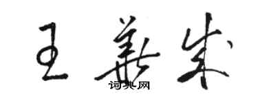 駱恆光王華成草書個性簽名怎么寫