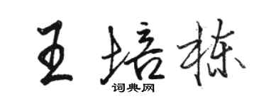 駱恆光王培棟行書個性簽名怎么寫