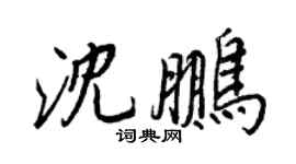 王正良沈鵬行書個性簽名怎么寫