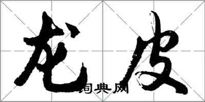 胡問遂龍皮行書怎么寫