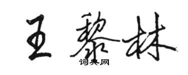 駱恆光王黎林行書個性簽名怎么寫