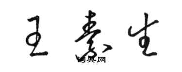 駱恆光王素生草書個性簽名怎么寫