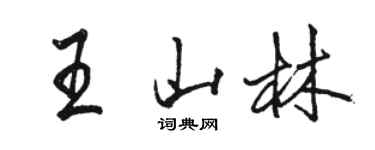 駱恆光王山林行書個性簽名怎么寫