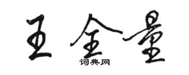 駱恆光王全量行書個性簽名怎么寫