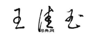 駱恆光王佳玉草書個性簽名怎么寫