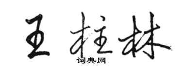 駱恆光王柱林行書個性簽名怎么寫