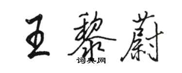 駱恆光王黎蔚行書個性簽名怎么寫