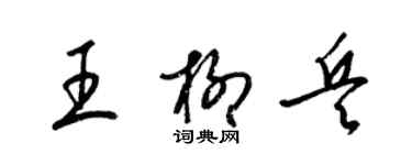 梁錦英王柳兵草書個性簽名怎么寫