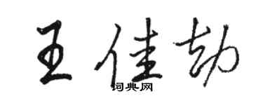 駱恆光王佳劫行書個性簽名怎么寫