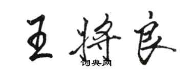 駱恆光王將良行書個性簽名怎么寫