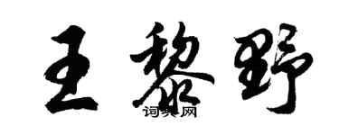 胡問遂王黎野行書個性簽名怎么寫