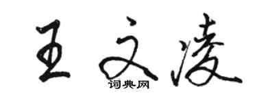 駱恆光王文凌行書個性簽名怎么寫