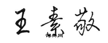駱恆光王素敬行書個性簽名怎么寫