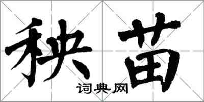 翁闓運秧苗楷書怎么寫