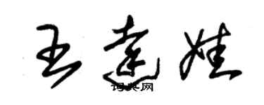 朱錫榮王達娃草書個性簽名怎么寫