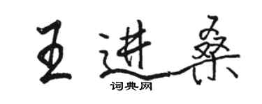 駱恆光王進桑行書個性簽名怎么寫