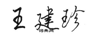 駱恆光王建珍行書個性簽名怎么寫