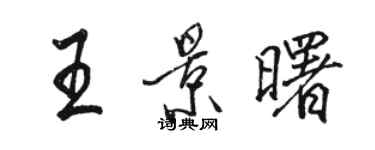 駱恆光王景曙行書個性簽名怎么寫