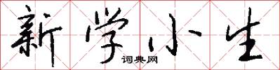 新學小生怎么寫好看