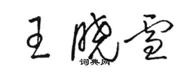 駱恆光王曉雪草書個性簽名怎么寫