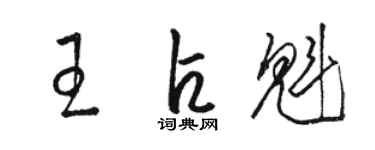 駱恆光王占魁草書個性簽名怎么寫