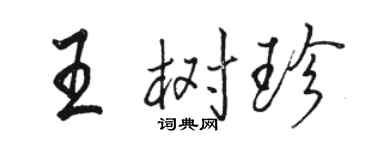 駱恆光王樹珍行書個性簽名怎么寫