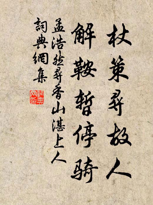 風翻亂葉林有聲，雪映閒庭月無色 詩詞名句