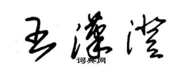 朱錫榮王漢澄草書個性簽名怎么寫