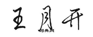 駱恆光王月開行書個性簽名怎么寫