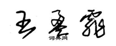 朱錫榮王盈霏草書個性簽名怎么寫