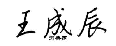 王正良王成辰行書個性簽名怎么寫