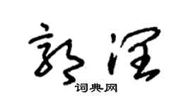 朱錫榮郭潤草書個性簽名怎么寫