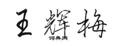 駱恆光王輝梅行書個性簽名怎么寫