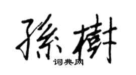 王正良孫樹行書個性簽名怎么寫
