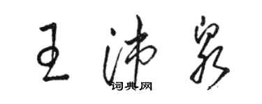 駱恆光王沛泉草書個性簽名怎么寫