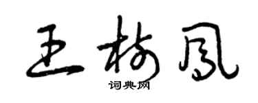 曾慶福王樹鳳草書個性簽名怎么寫