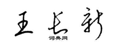 梁錦英王長新草書個性簽名怎么寫