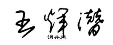 朱錫榮王輝潛草書個性簽名怎么寫