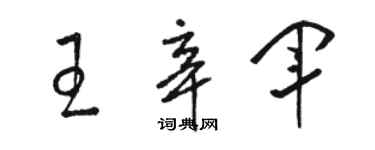 駱恆光王辛軍草書個性簽名怎么寫