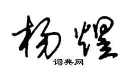 朱錫榮楊煜草書個性簽名怎么寫