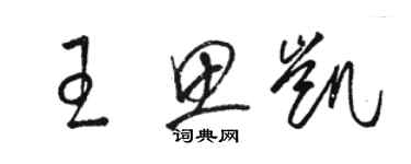 駱恆光王思凱草書個性簽名怎么寫