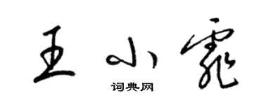 梁錦英王小霏草書個性簽名怎么寫